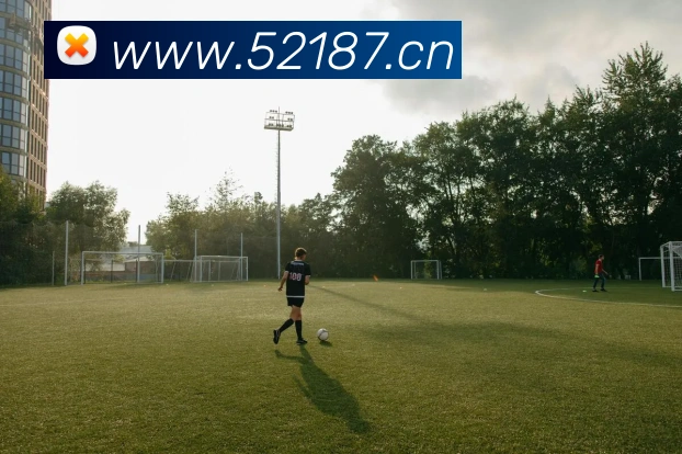 易倍平台生态图